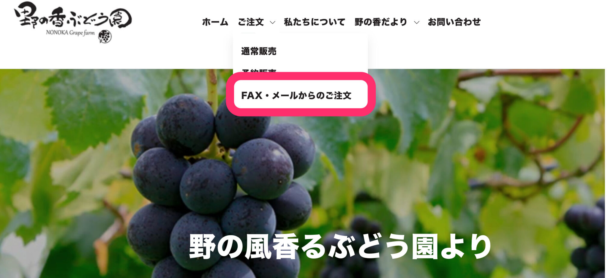 海外在住の専業主婦が50代からShopifyフリーランスに!Shopifyに年齢は関係ない!?その理由や案件獲得までの過程を聞いた