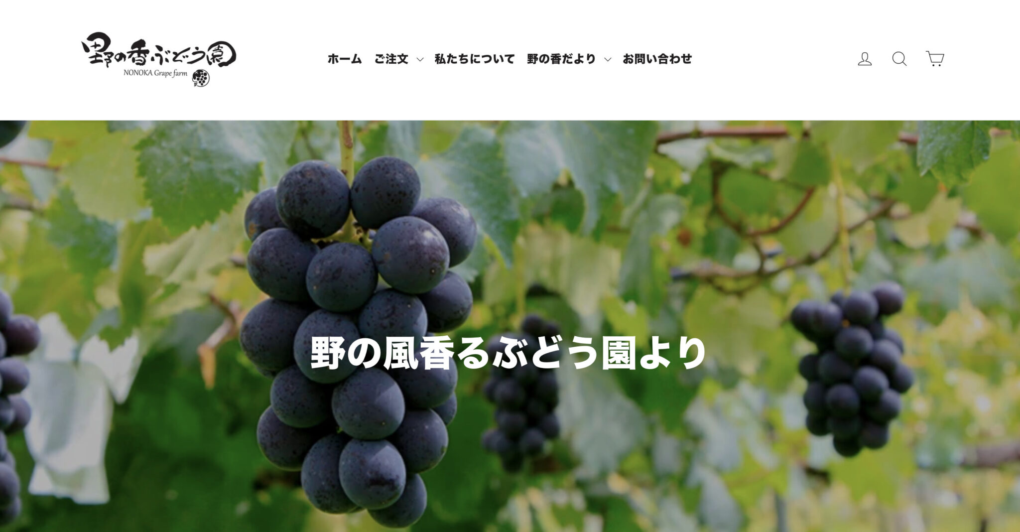 海外在住の専業主婦が50代からShopifyフリーランスに!Shopifyに年齢は関係ない!?その理由や案件獲得までの過程を聞いた